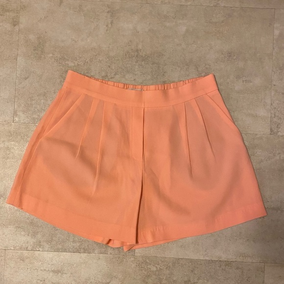 Babaton Pants - Aritzia light coral shorts
